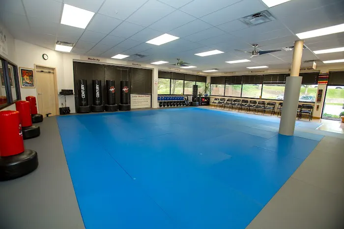 Nabaiee's Family Martial Arts Picture 9