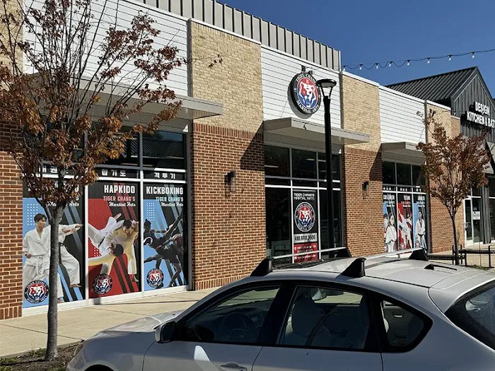 Tiger Chang's Martial Arts Picture 1