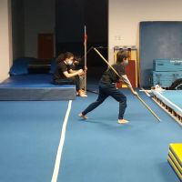 Three Branches Kung Fu ico