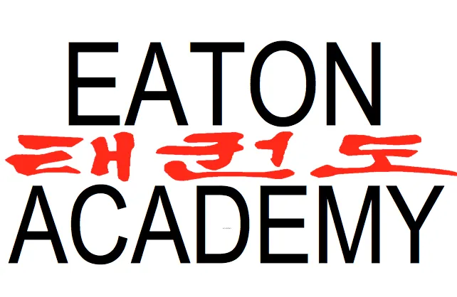 Eaton Tae Kwon Do Academy Picture 6