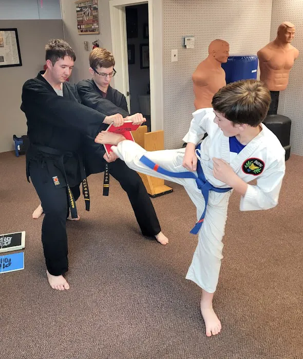 Eaton Tae Kwon Do Academy Picture 4