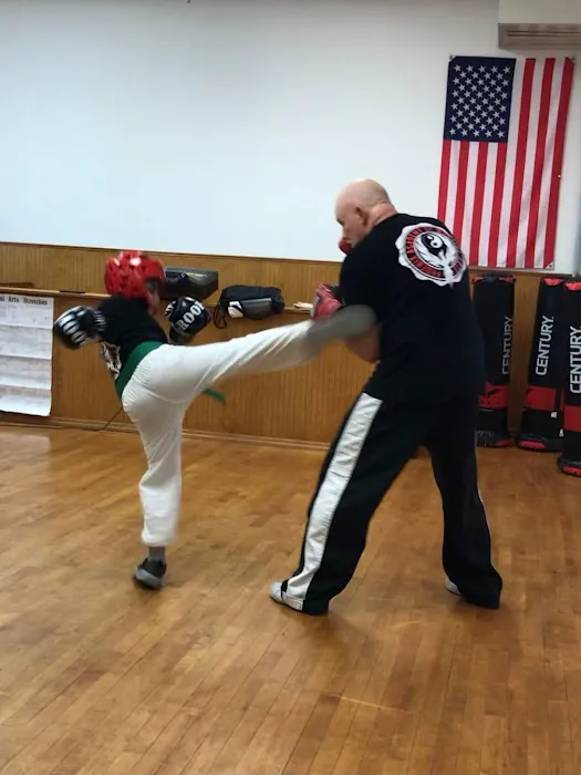 Phoenix Academy of Martial Arts Picture 3