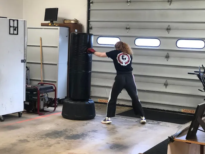 Phoenix Academy of Martial Arts Picture 6