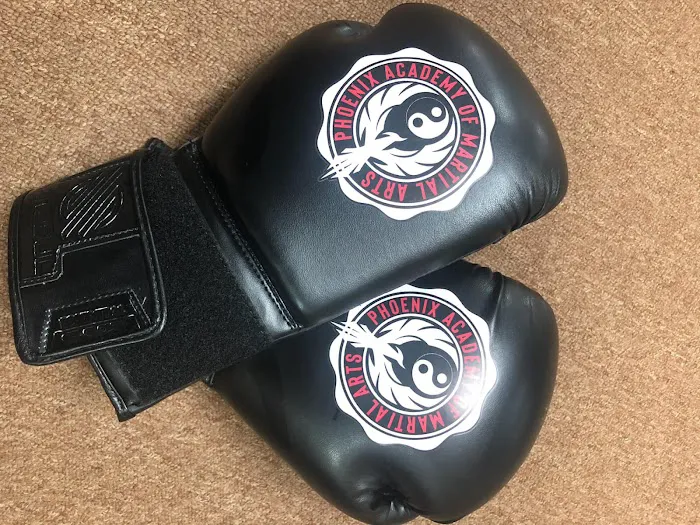 Phoenix Academy of Martial Arts Picture 9