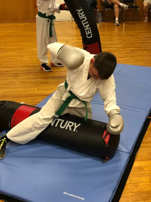 Phoenix Academy of Martial Arts Picture 8