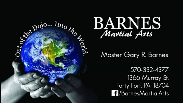 Barnes Martial Arts Picture 1
