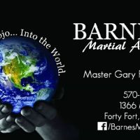 Barnes Martial Arts ico