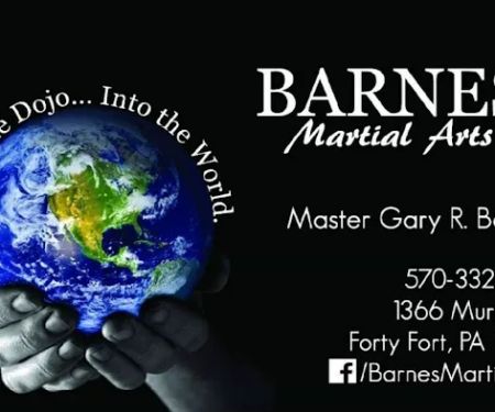 Barnes Martial Arts