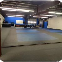 NEPA Mixed Martial Arts ico