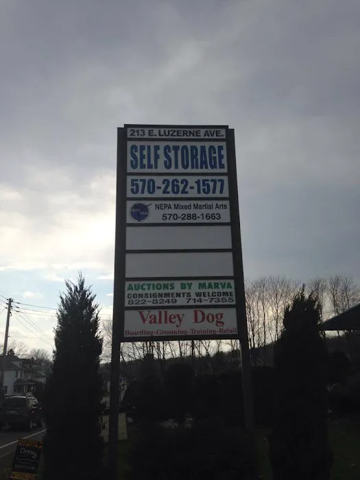 NEPA Mixed Martial Arts Picture 2