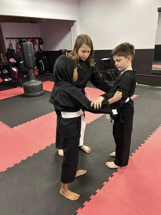 Dual Dragon Karate Picture 2