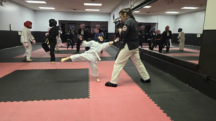 Dual Dragon Karate Picture 3