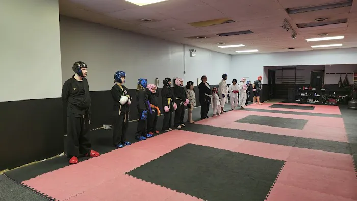 Dual Dragon Karate Picture 1