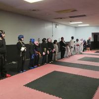 Dual Dragon Karate ico