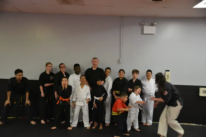 Dual Dragon Karate Picture 6