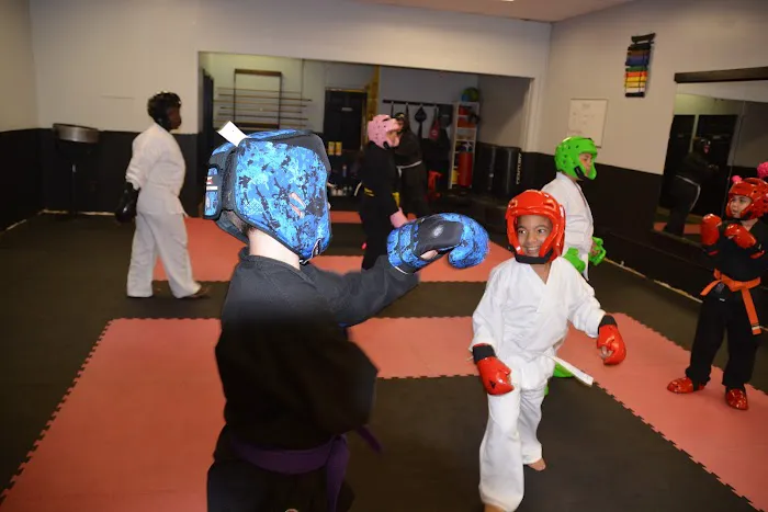 Dual Dragon Karate Picture 8