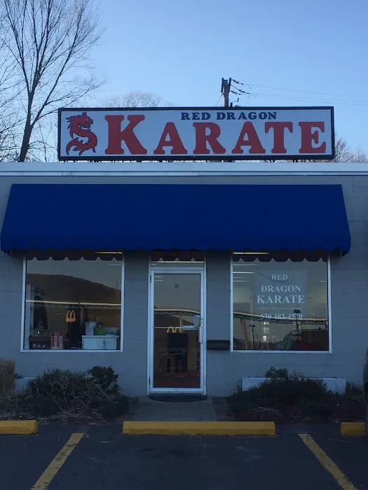 Red Dragon Karate USA Picture 6
