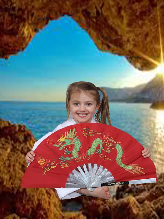 Red Dragon Karate USA Picture 10