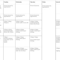 Iron Will Inner Arts ico