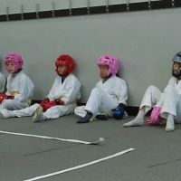 Paul's American Kenpo Karate ico