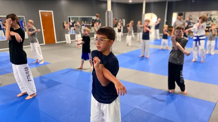 So's Taekwondo Picture 2