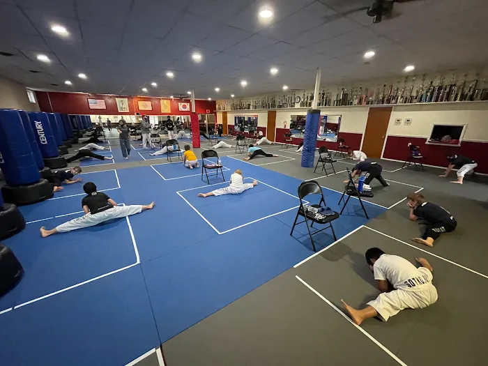 So's Taekwondo Picture 3