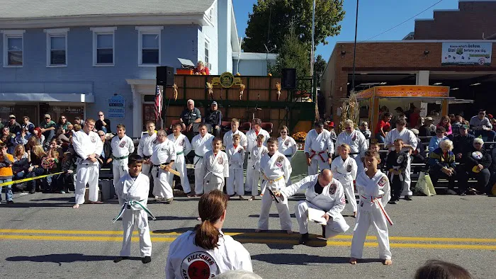 Dillsburg Karate Academy Picture 2