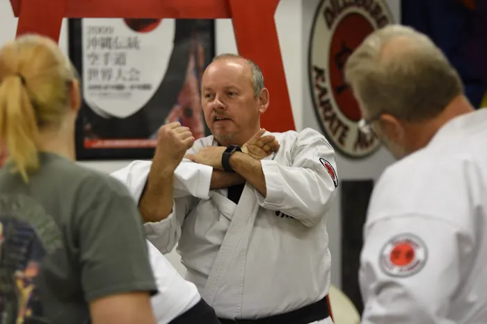 Dillsburg Karate Academy Picture 3