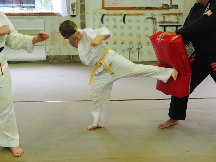 Dillsburg Karate Academy Picture 9