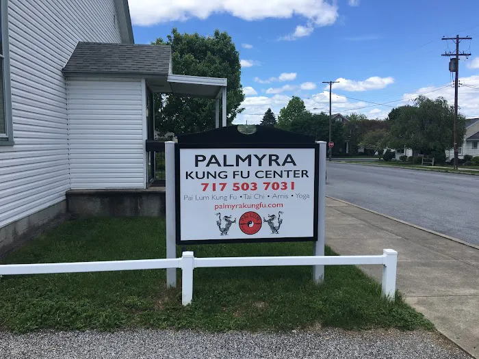 Palmyra Kung Fu Center Picture 6