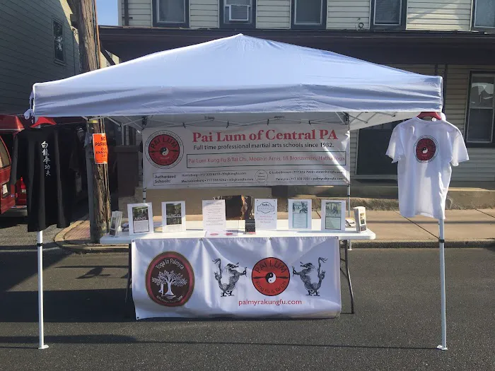 Palmyra Kung Fu Center Picture 10