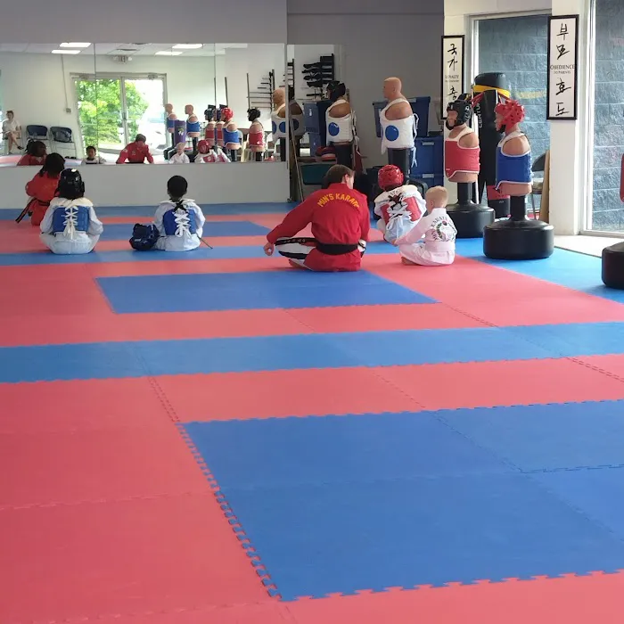 Min's Karate Academy Picture 1