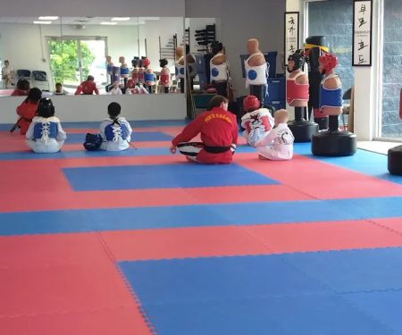 Min's Karate Academy