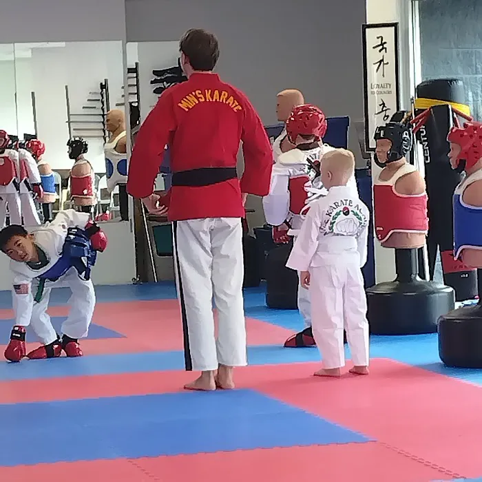 Min's Karate Academy Picture 4