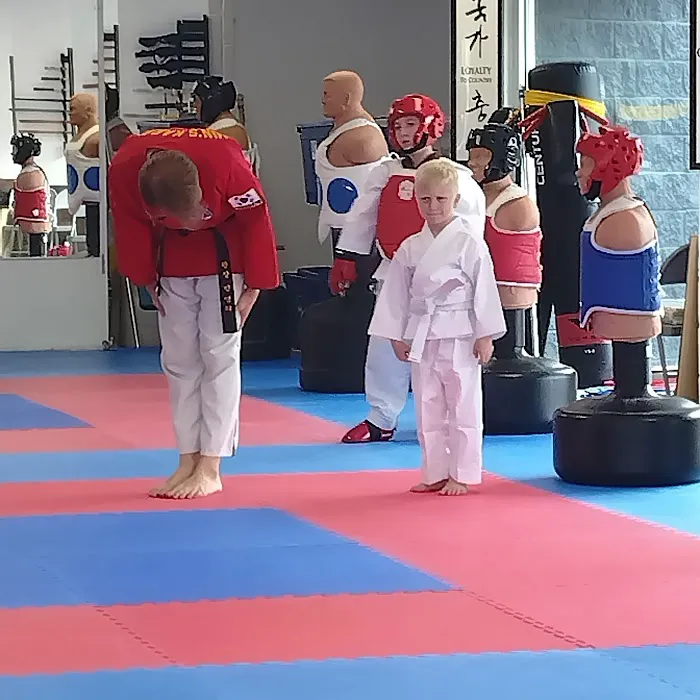 Min's Karate Academy Picture 7