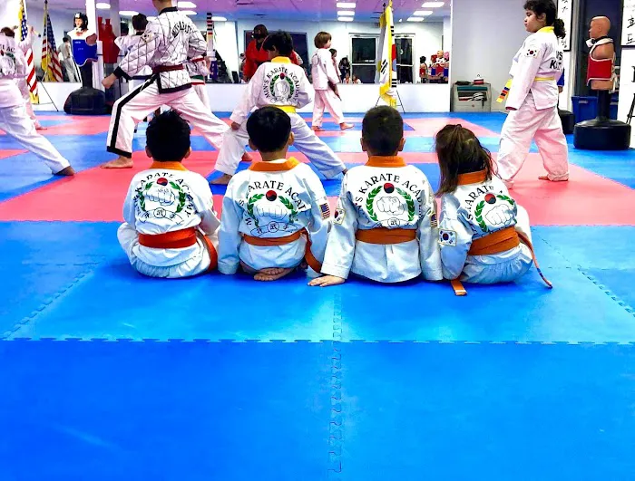 Min's Karate Academy Picture 10