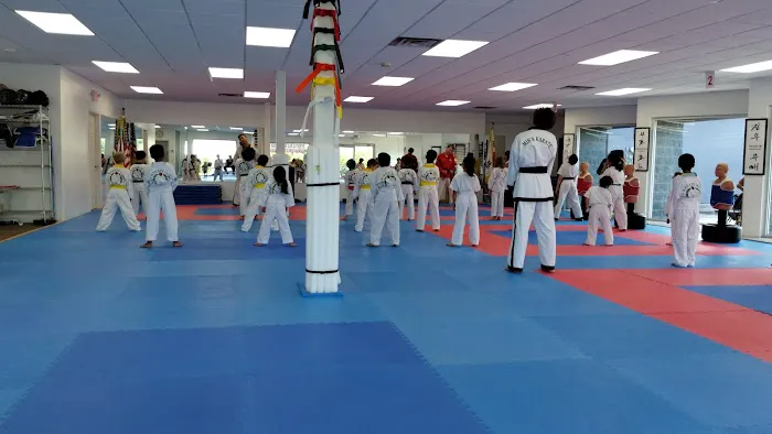 Min's Karate Academy Picture 8