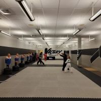 Victory Taekwondo Academy ico