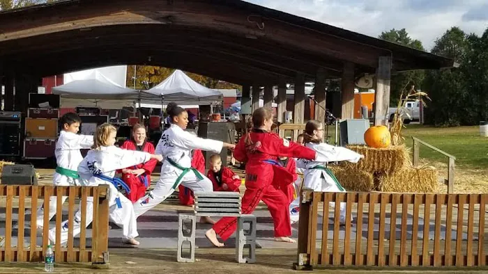 Victory Taekwondo Academy Picture 4