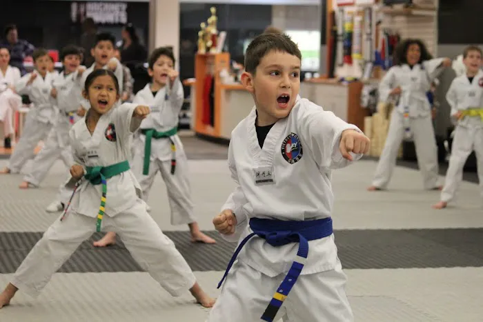 Victory Taekwondo Academy Picture 7