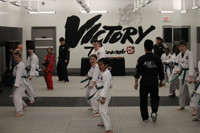 Victory Taekwondo Academy Picture 8
