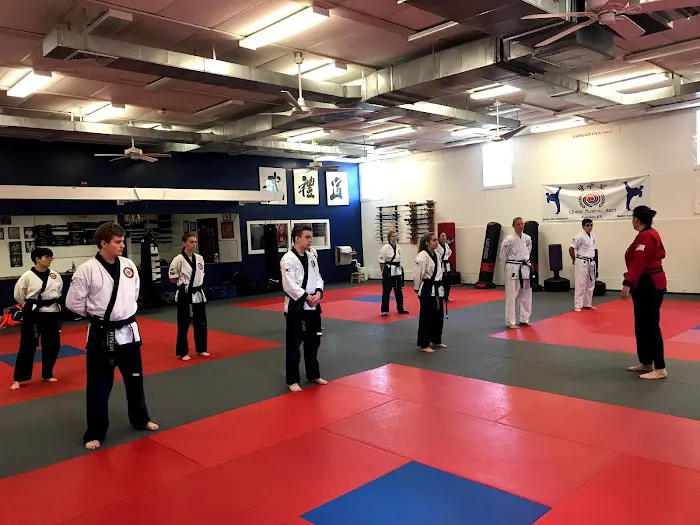 Quest Martial Arts Picture 2