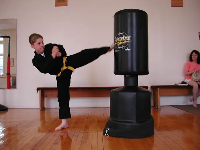 J. R. Roy Martial Arts Picture 4