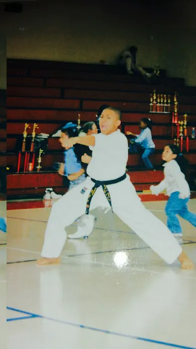 A-Plus Taylors School Of Karate Picture 4