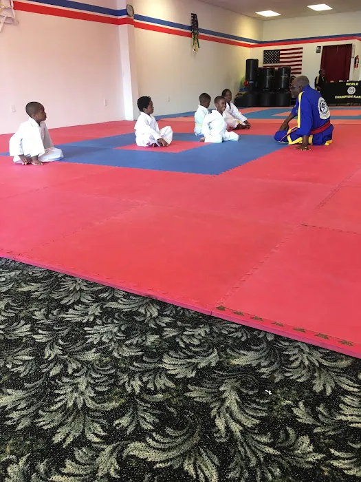 A-Plus Taylors School Of Karate Picture 10