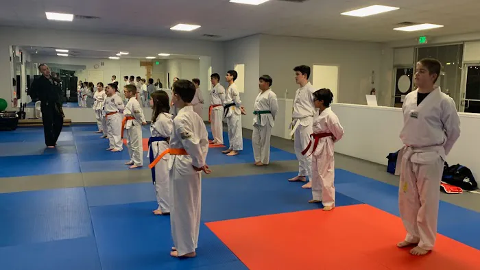 Sykesville Family Tae Kwon Do Picture 3