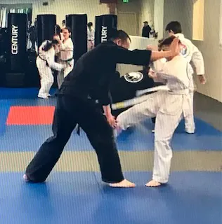 Sykesville Family Tae Kwon Do Picture 8