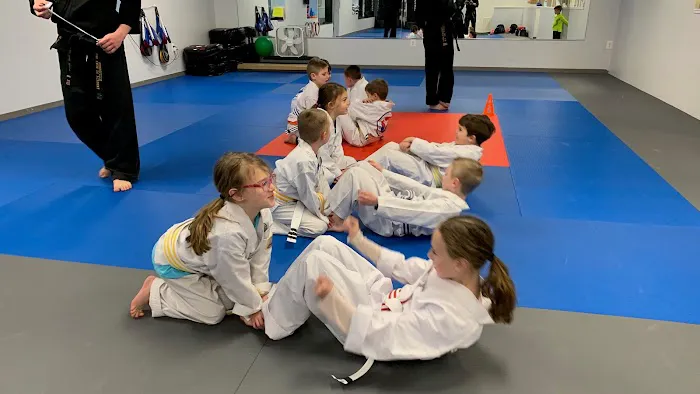 Sykesville Family Tae Kwon Do Picture 10