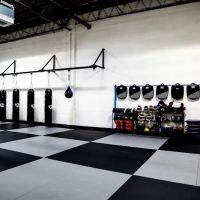 Crazy 88 Mixed Martial Arts ico