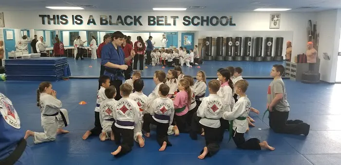 Tristar Martial Arts Academy Picture 1